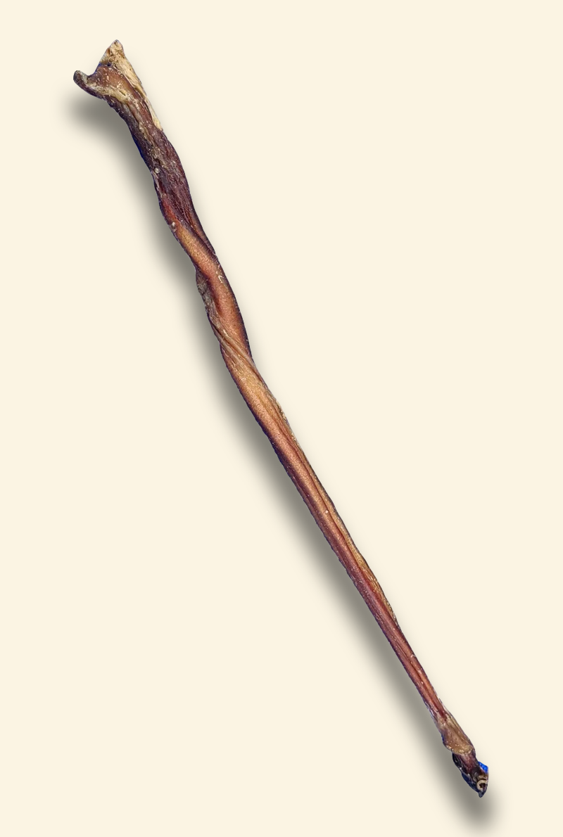 dogwarts wand