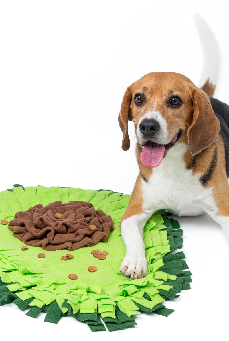 avocado snuffle mat