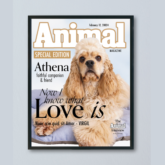 Your furry pal's custom magazine cover