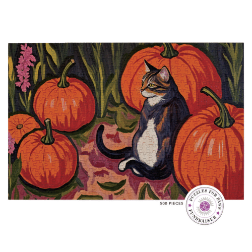 puzzles for paws