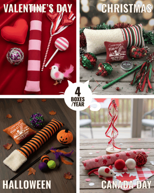 holiday haul tiny treat gang