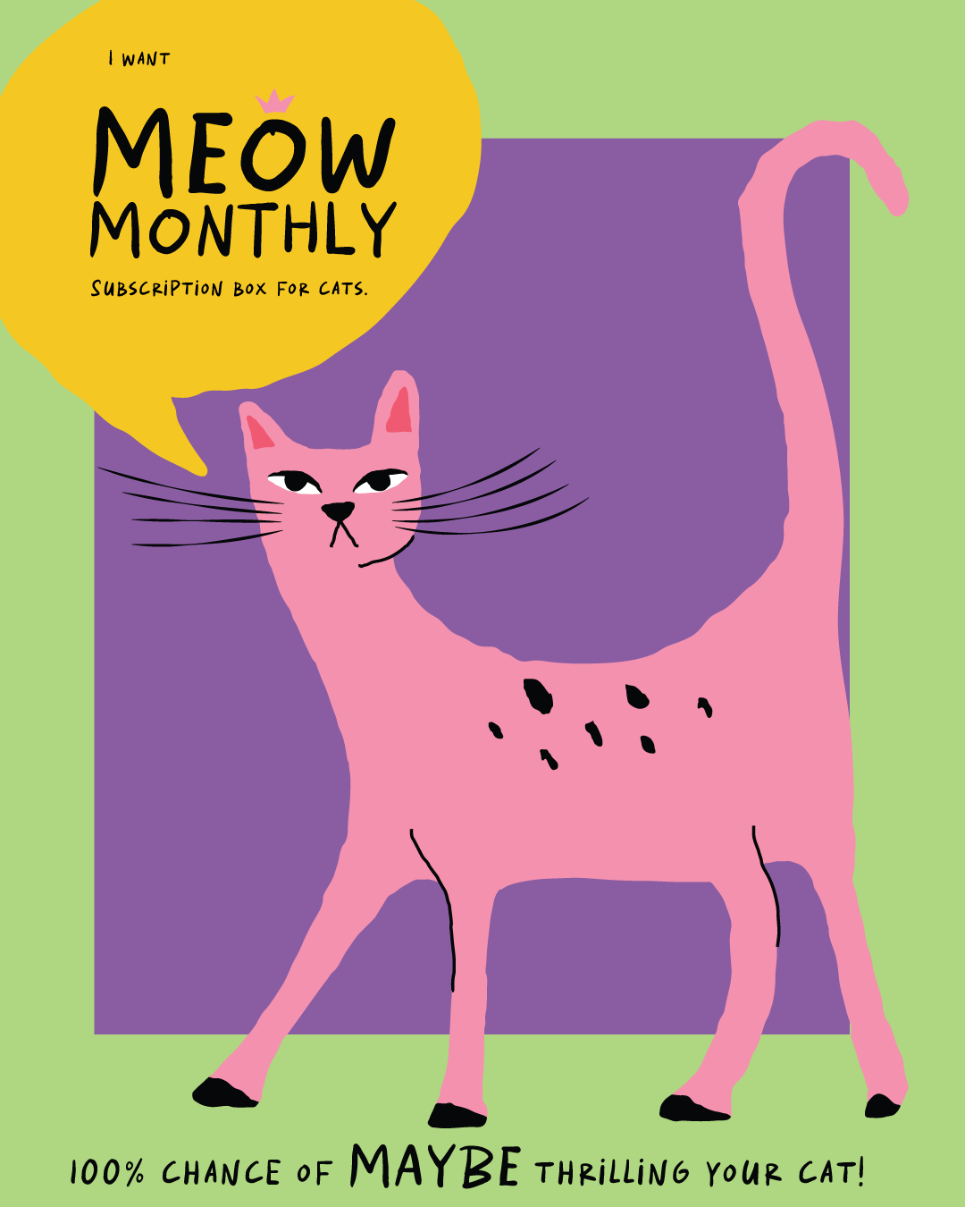 meow monthly cat subscription box